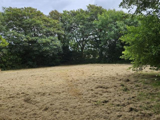 Land for sale in Cornwall