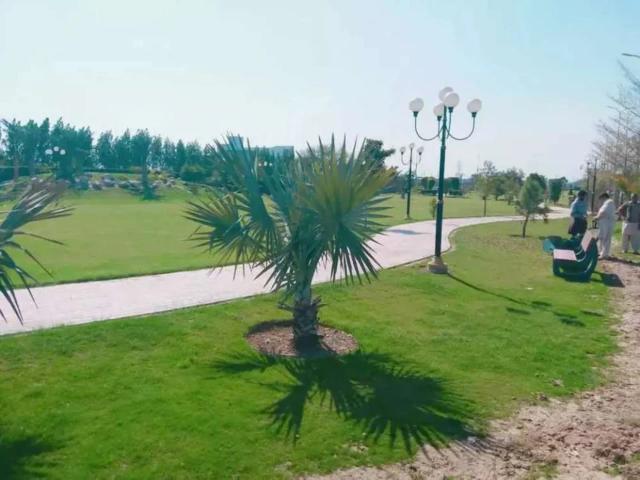 Land for sale in Faisalabad, Islamabad Capital Territory
