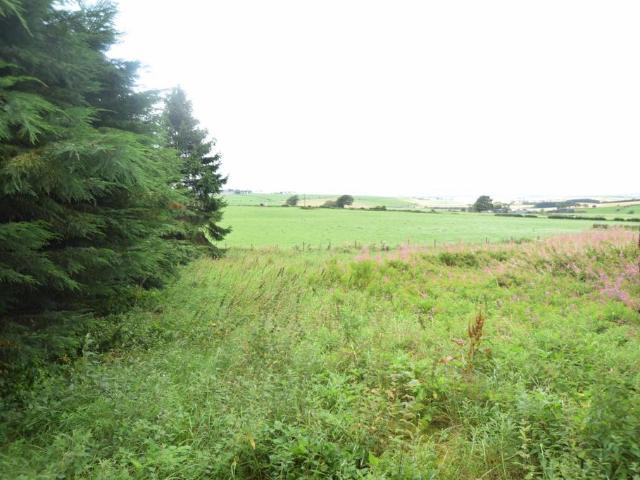Land for sale in Quothquan, Scotland
