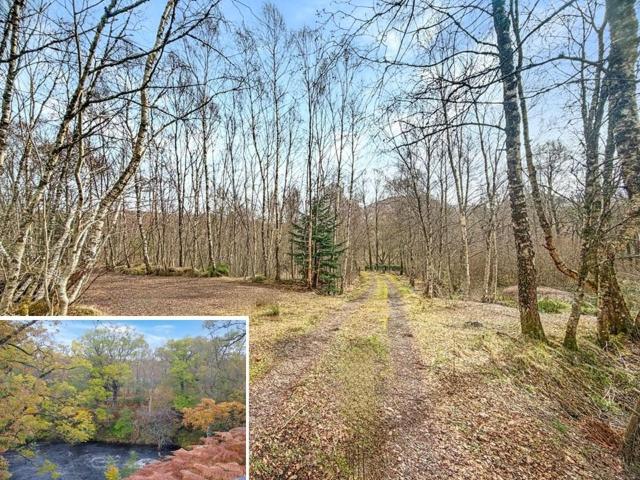 Land for sale in Scotland