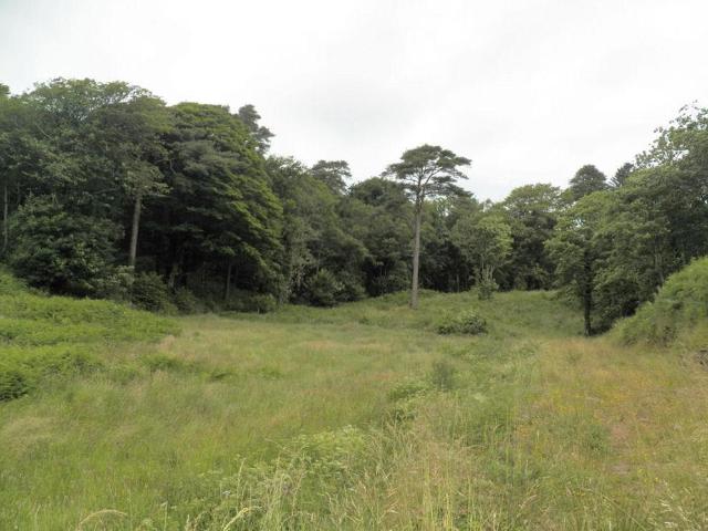 Land for sale in Scotland