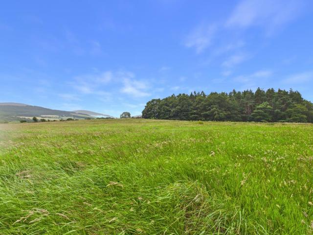 Land for sale in Aberlour, Scotland