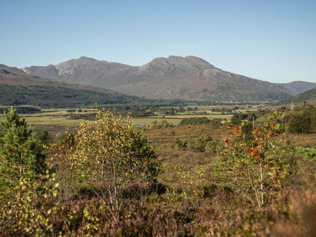 Land for sale in Strathcarron, Scotland