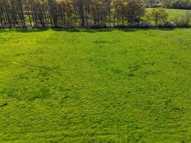 Land for sale in Ashurst Bridge, Hampshire