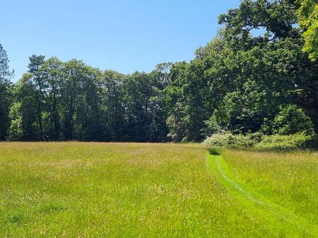 Land for sale in Ashurst Bridge, Hampshire