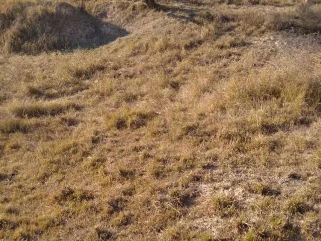 Land for sale in Islamabad