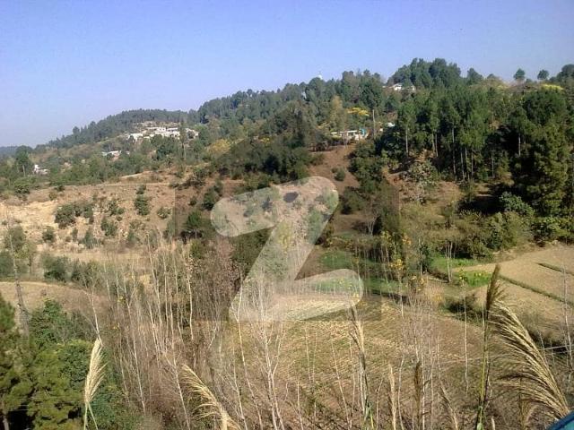 Property for sale in Abbottabad, North West Frontier Province