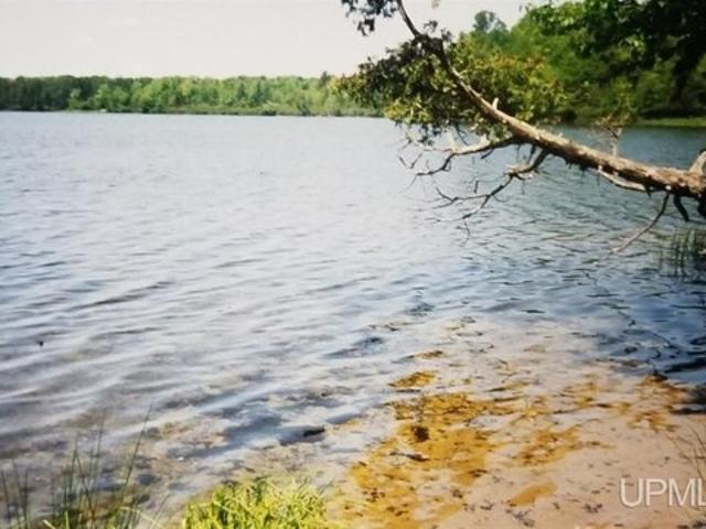 Land for sale in Michigan