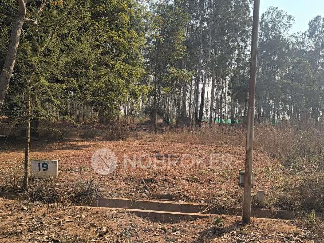 Property for sale in Devanahalli - Bangalore, Karnataka