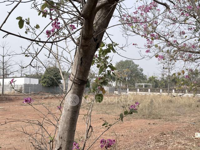 Property for sale in Telangana