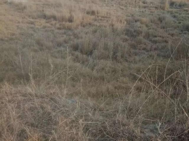 Land for sale in Islamabad