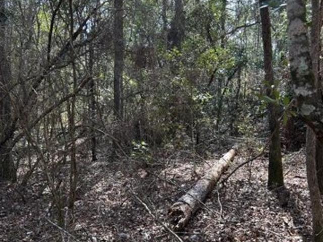 House for sale in Flomaton, Alabama