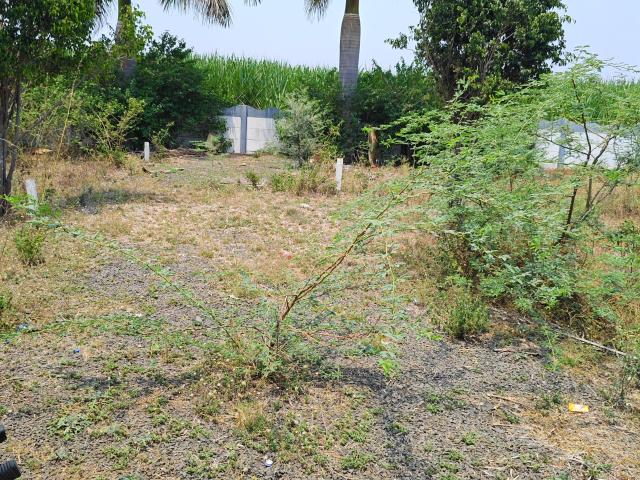Property for sale in Haveli, National Capital Territory Of Delhi