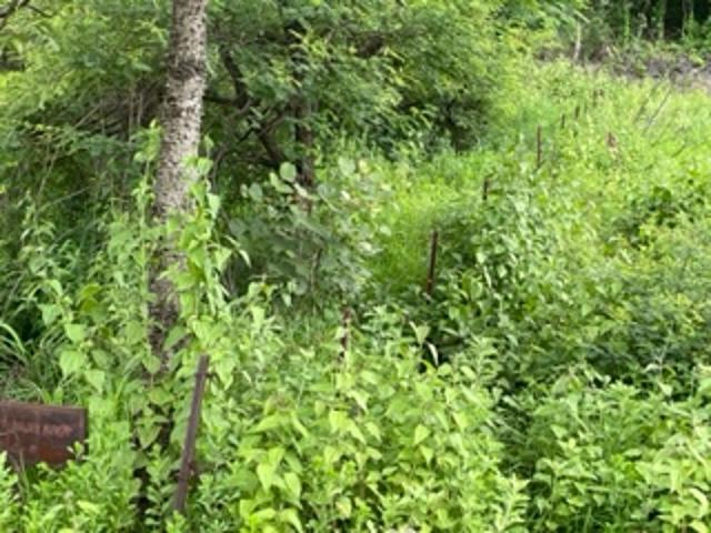 Property for sale in National Capital Territory Of Delhi