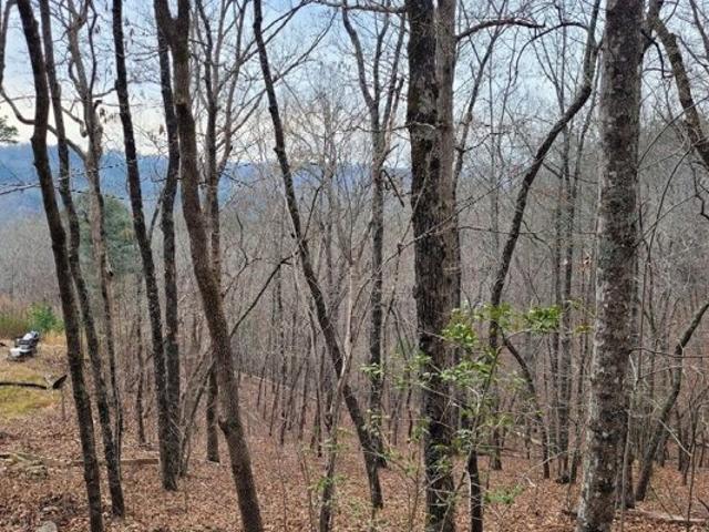 House for sale in Mineral Bluff