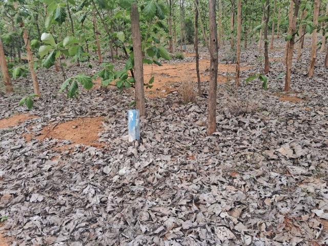 Property for sale in Yellanki, Yadadri Bhuvanagiri