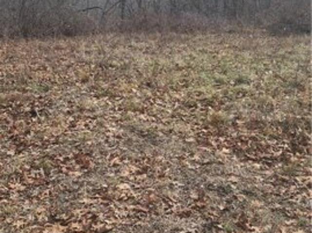 Land for sale in Missouri