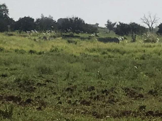 Land for sale in Islamabad