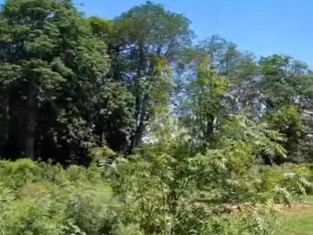 Land for sale in Vipingo, Kilifi