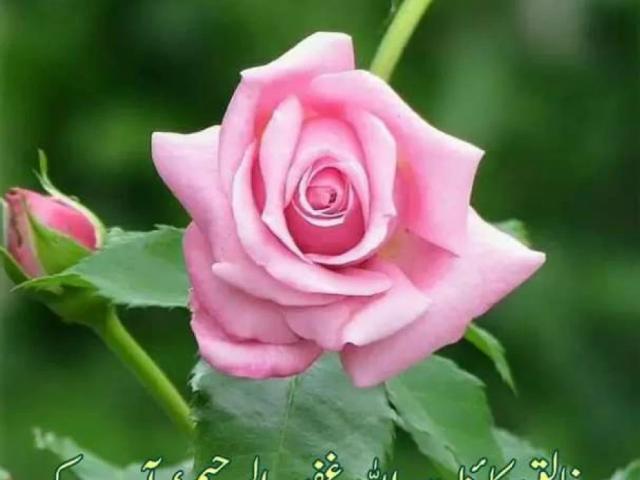 Land for sale in Islamabad Capital Territory