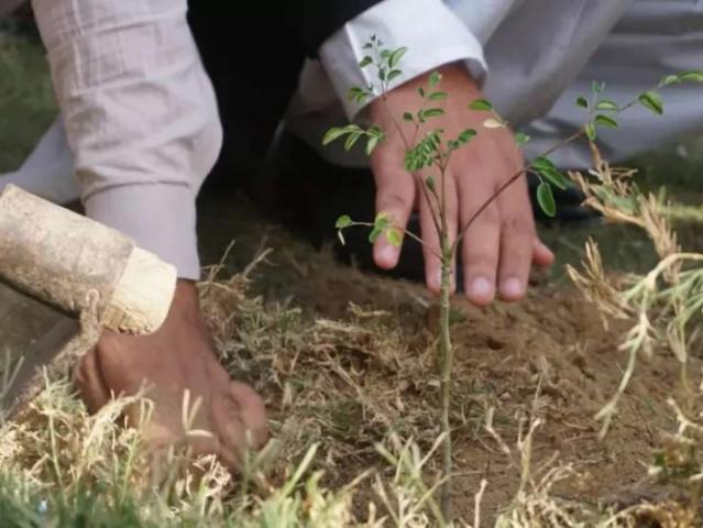 Land for sale in North Waziristan, Federally Administered Tribal Areas fata