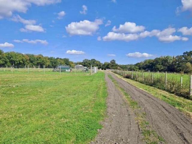House for sale in East Sussex, England