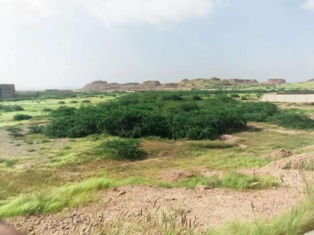 Land for sale in North Waziristan, Federally Administered Tribal Areas fata
