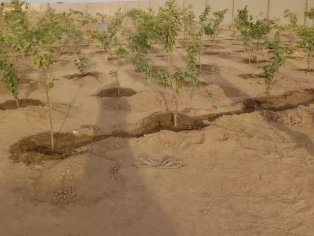 Land for sale in North Waziristan, Federally Administered Tribal Areas fata