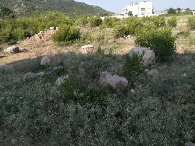 Land for rent in Islamabad