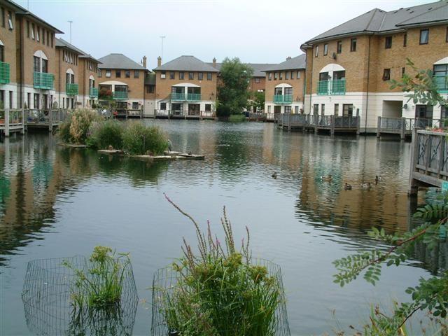 Apartment for rent in Rotherhithe, Greater London
