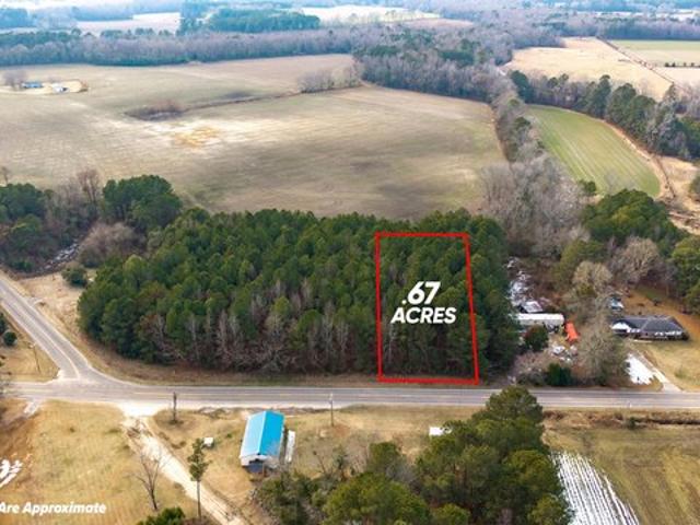 Land for sale in Alcolu, South Carolina