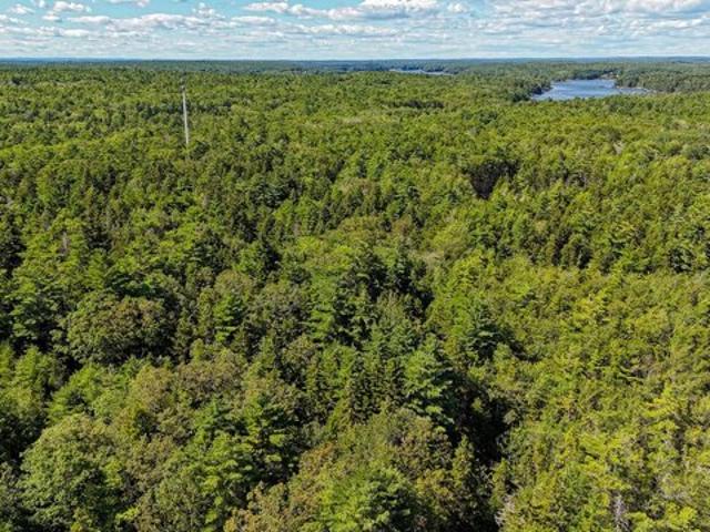 Land for sale in Five Islands, Georgetown