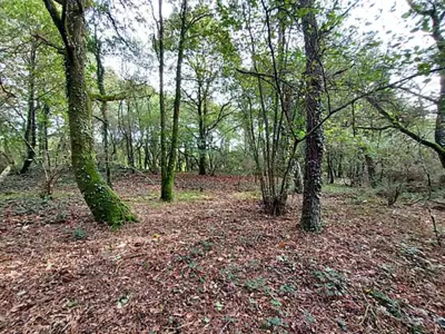 Terrain vente à Pontivy, Bretagne