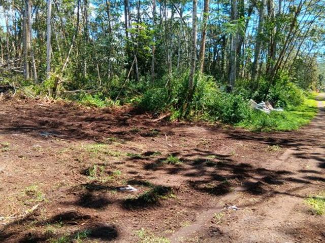 Land for sale in Pahoa, Hawaiʻi County