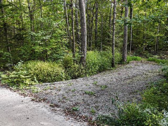 Land for sale in Raymond, Maine