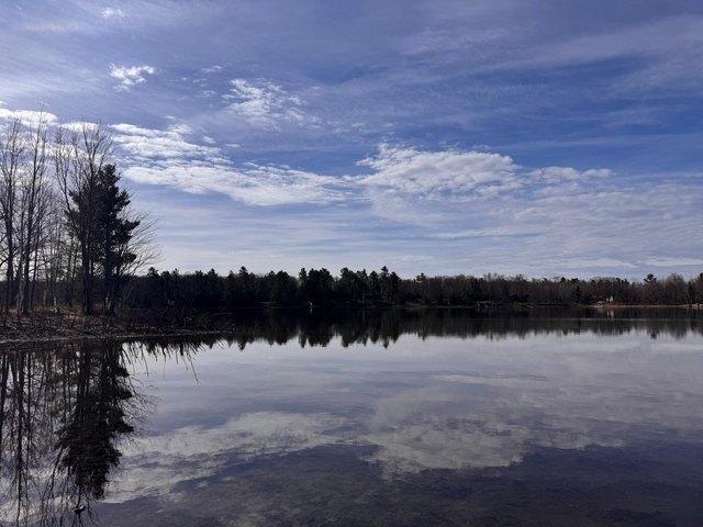 Land for sale in Vilas, Wisconsin