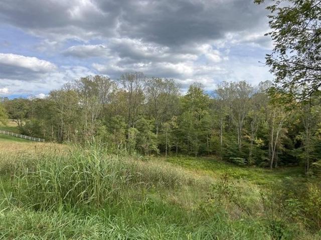 Land for sale in Virginia