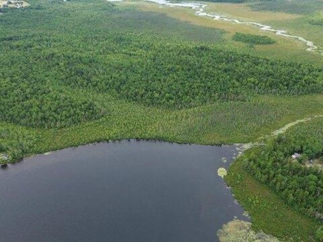 Land for sale in Plymouth, Penobscot County