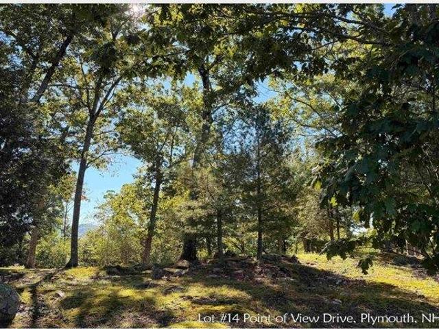 Land for sale in New Hampshire