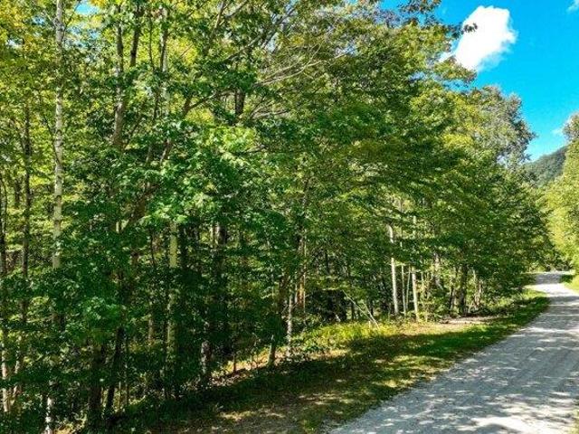 Land for sale in Plymouth, Vermont