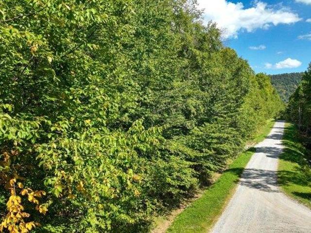Land for sale in Plymouth, Vermont