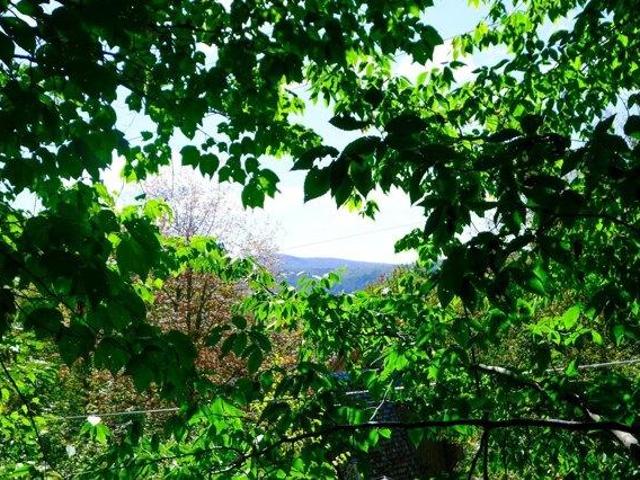Land for sale in Plymouth, Vermont