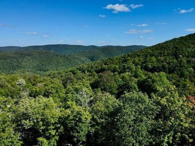Land for sale in Plymouth, Windsor County