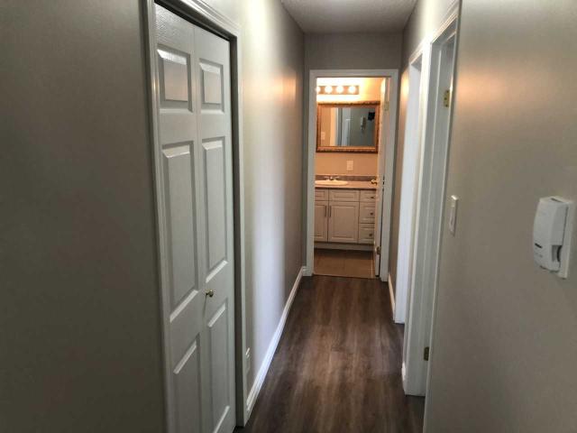 Apartment for rent in Wedgewood, Alberta
