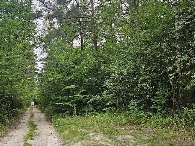 Grunt na sprzedaż w Pniewy, Mazowieckie
