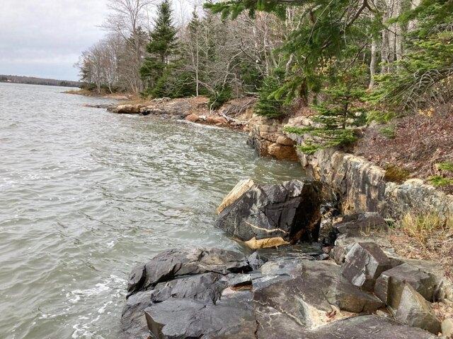 Land for sale in Harrington, Maine