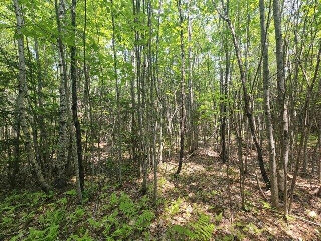 Land for sale in Hudson, Maine