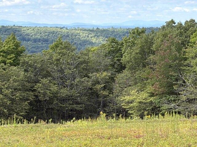 Land for sale in Waldo, Maine
