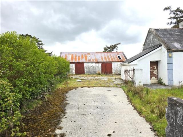 Bungalow for sale in Mayo, Connacht