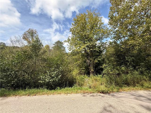 Land for sale in Town of Ossian, Village of Dansville